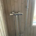 Kesaemoekki Tanela