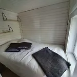 Kesaemoekki Tanela *