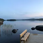 Kesaemoekki Tanela Leppalahti