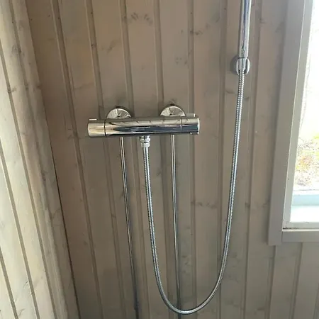 Kesaemoekki Tanela